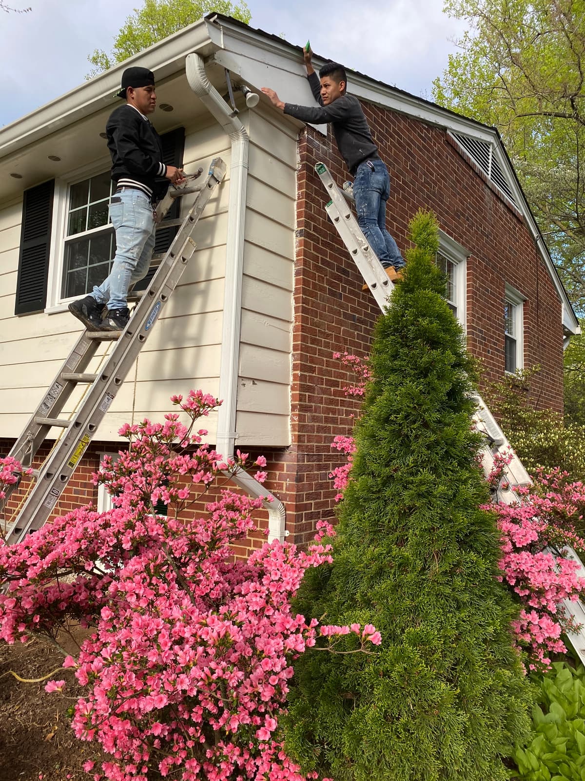 Vienna crew — Northern Virginia